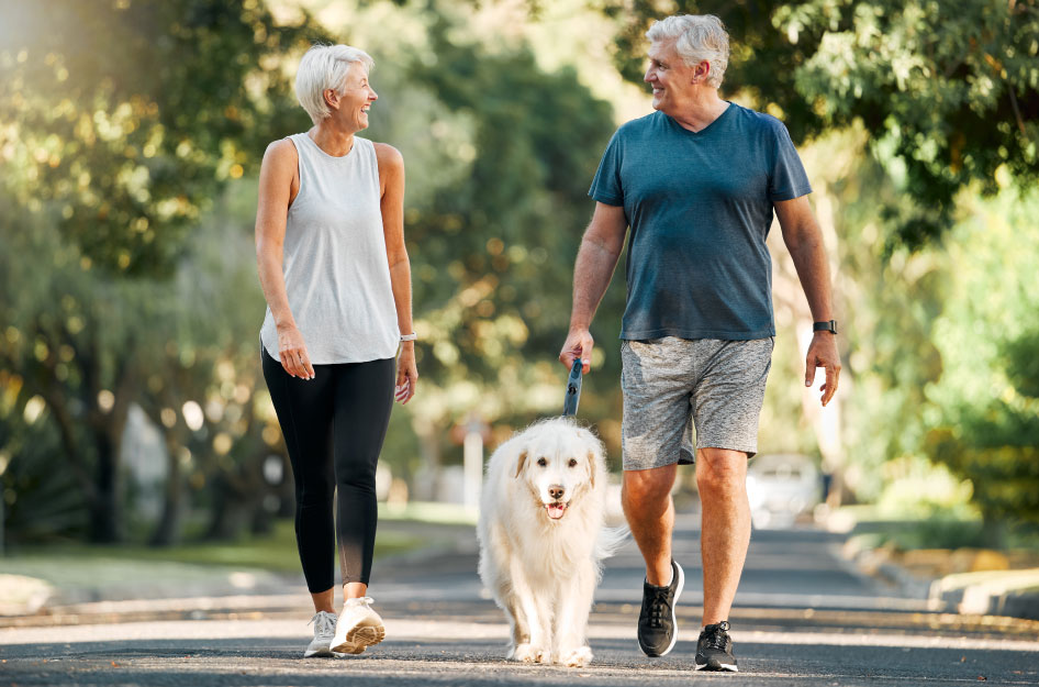 A retired couple walks their dog along a paved path through a natural area in their city. They retired to the East Coast and are enjoying the sunny summer weather.