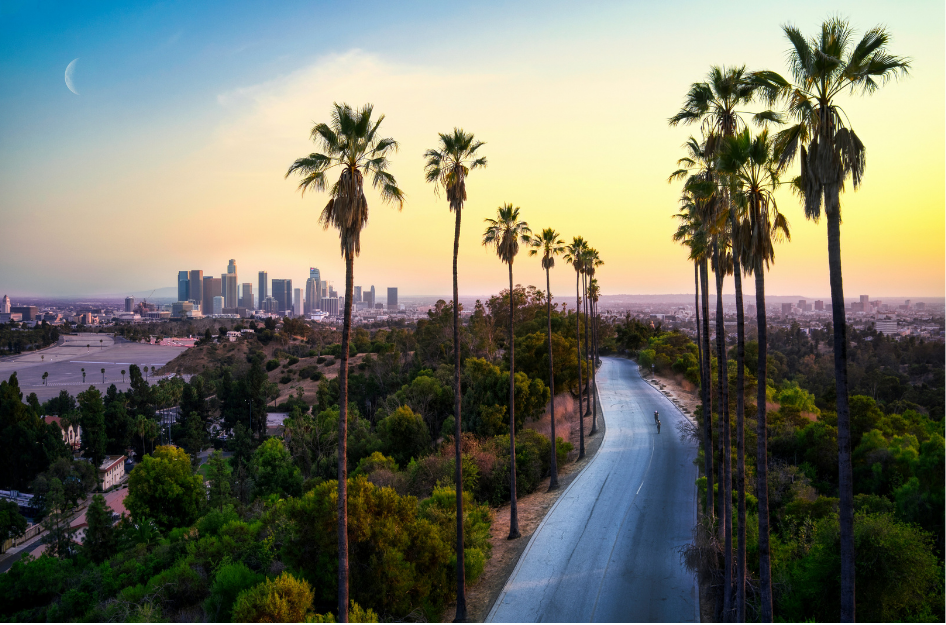 A view of a palm tree-lined road with the Los Angles, CA skyline in the background with a sunny sky.