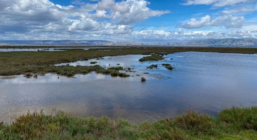 Palo Alto Baylands Nature Preserve