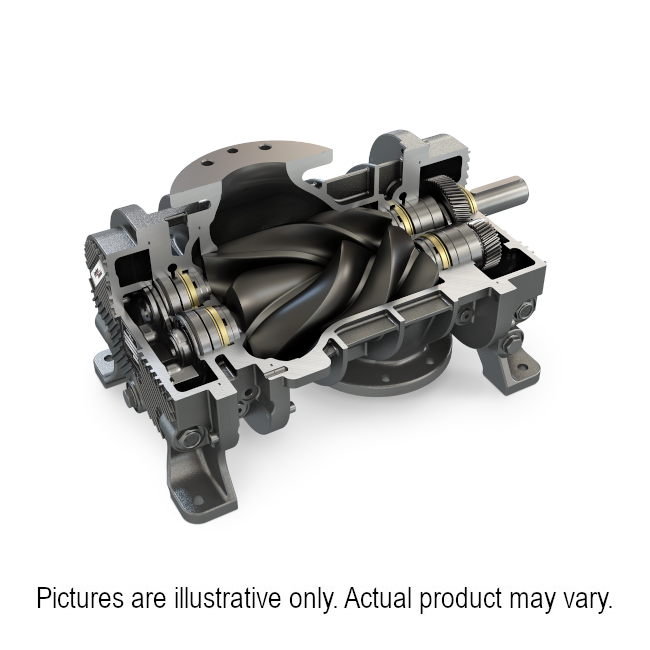Cycloblower VHX 100CDL300A-RC1 Screw Blower