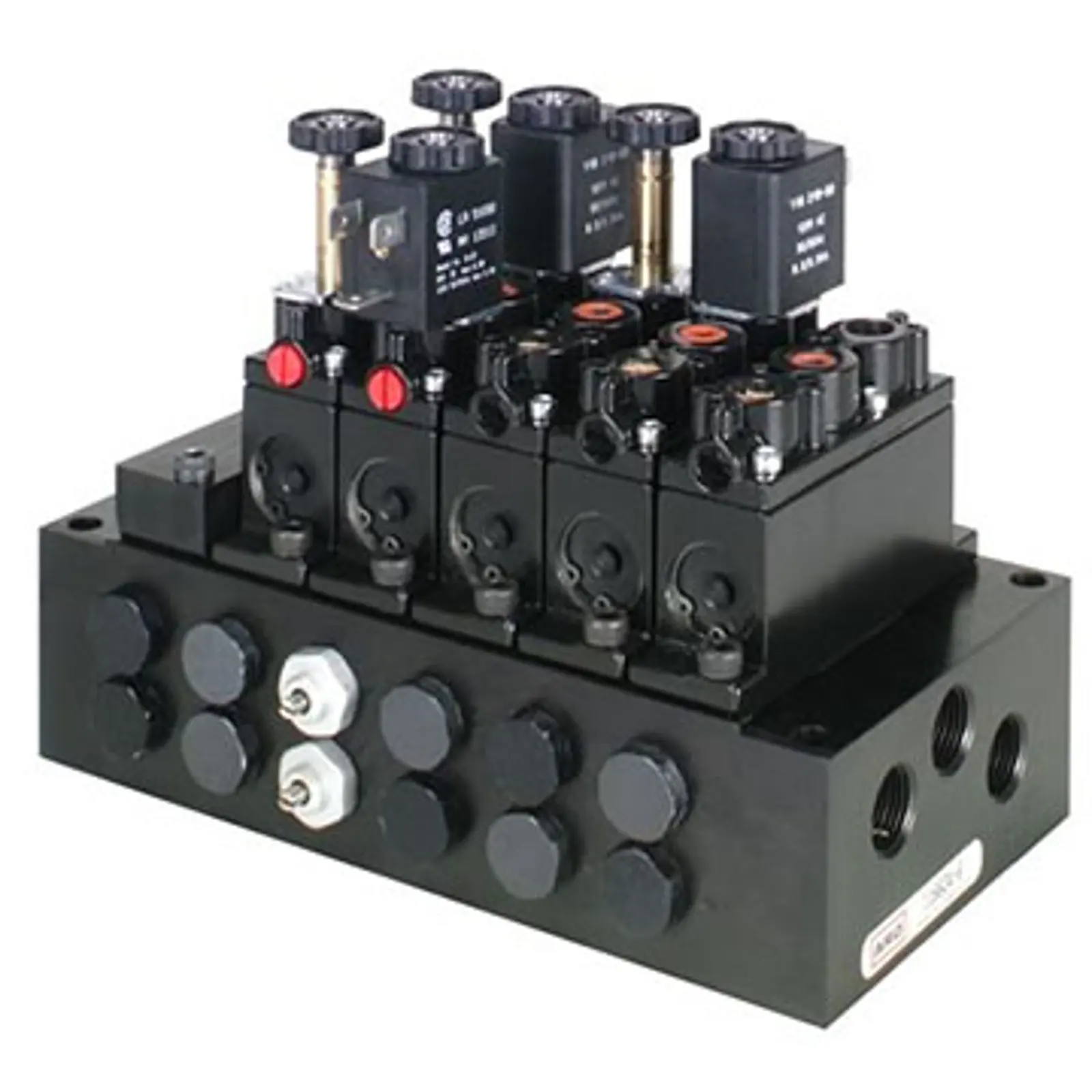 alpha-series-1.jpg
