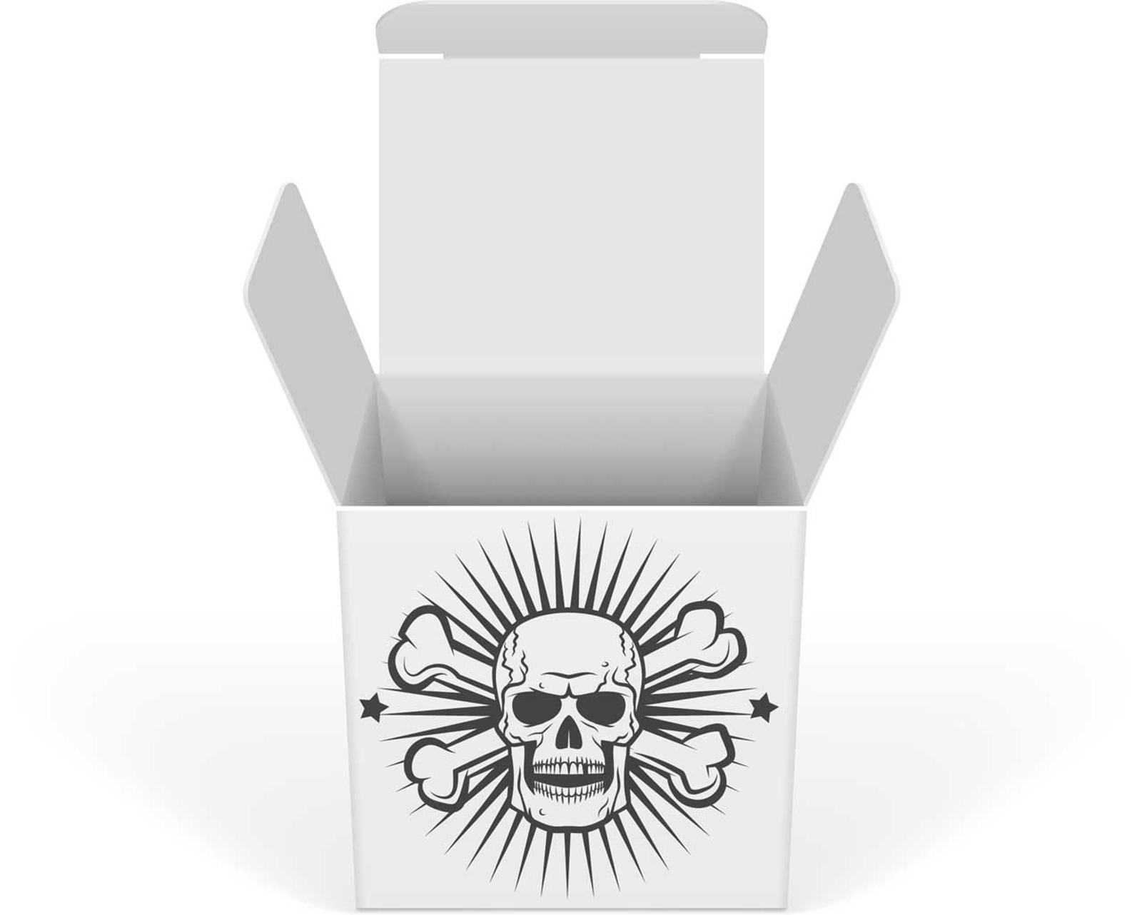 Pirate Parts: The Risky Reality