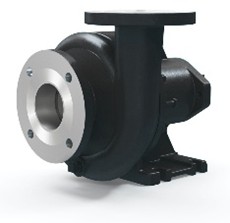 CF 300 End Suction Pump.jpg