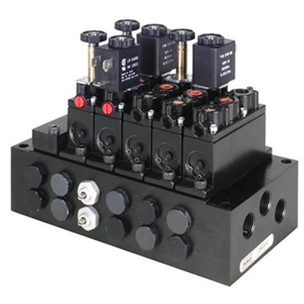 alpha-series-1.jpg