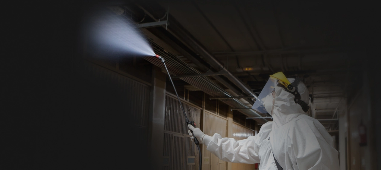 bg-spraying-disinfectant.jpg