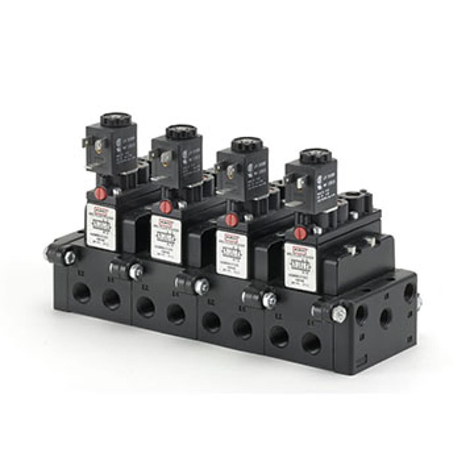 alpha-series-4.jpg