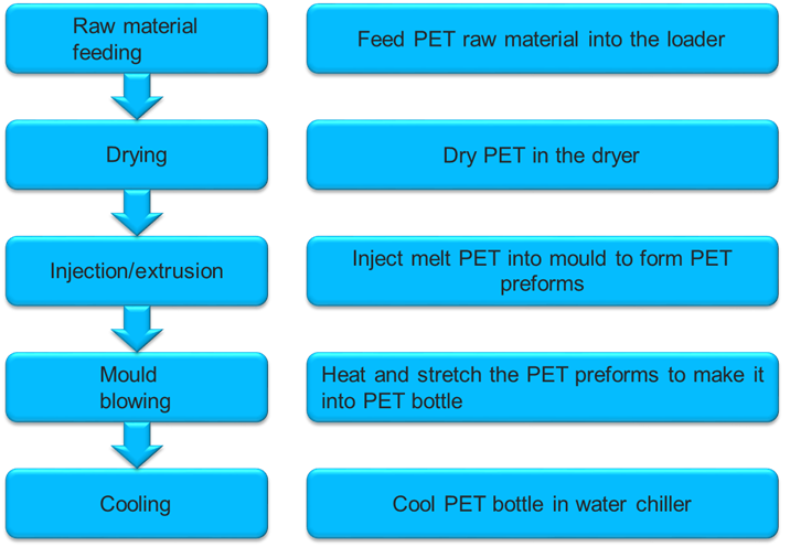 pet-photo.webp