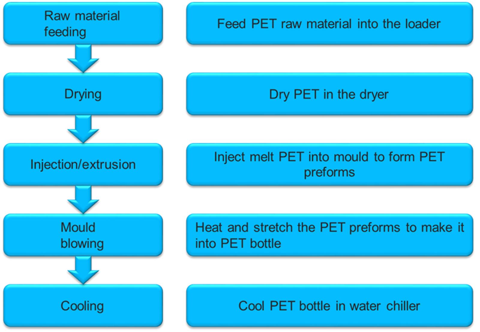 pet-photo.webp