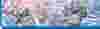 Belliss & Morcom Products Page top banner.png