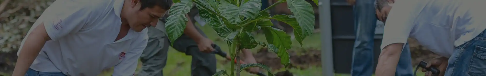 Positive Displacement Pump - Hydro Prokav Pumps CSR