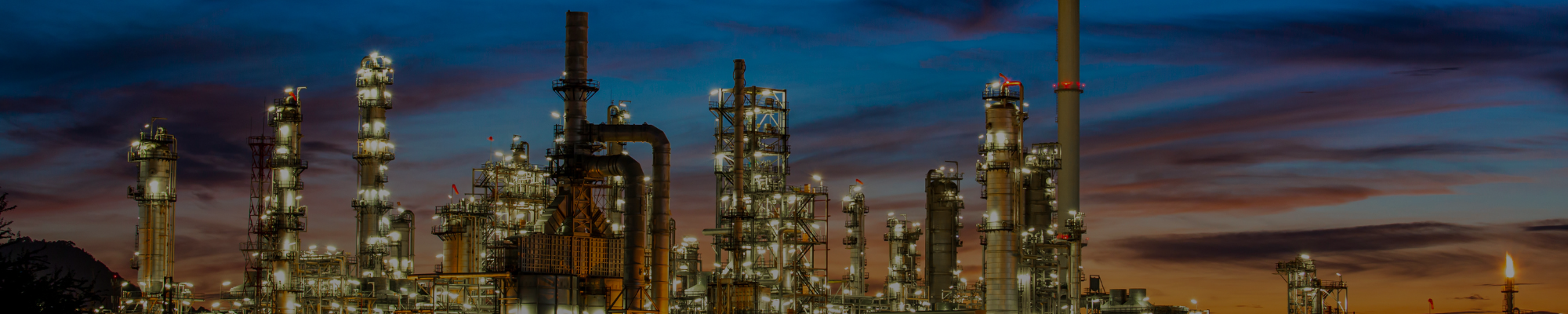 chemical and petrochemical