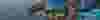 industries-overview.png
