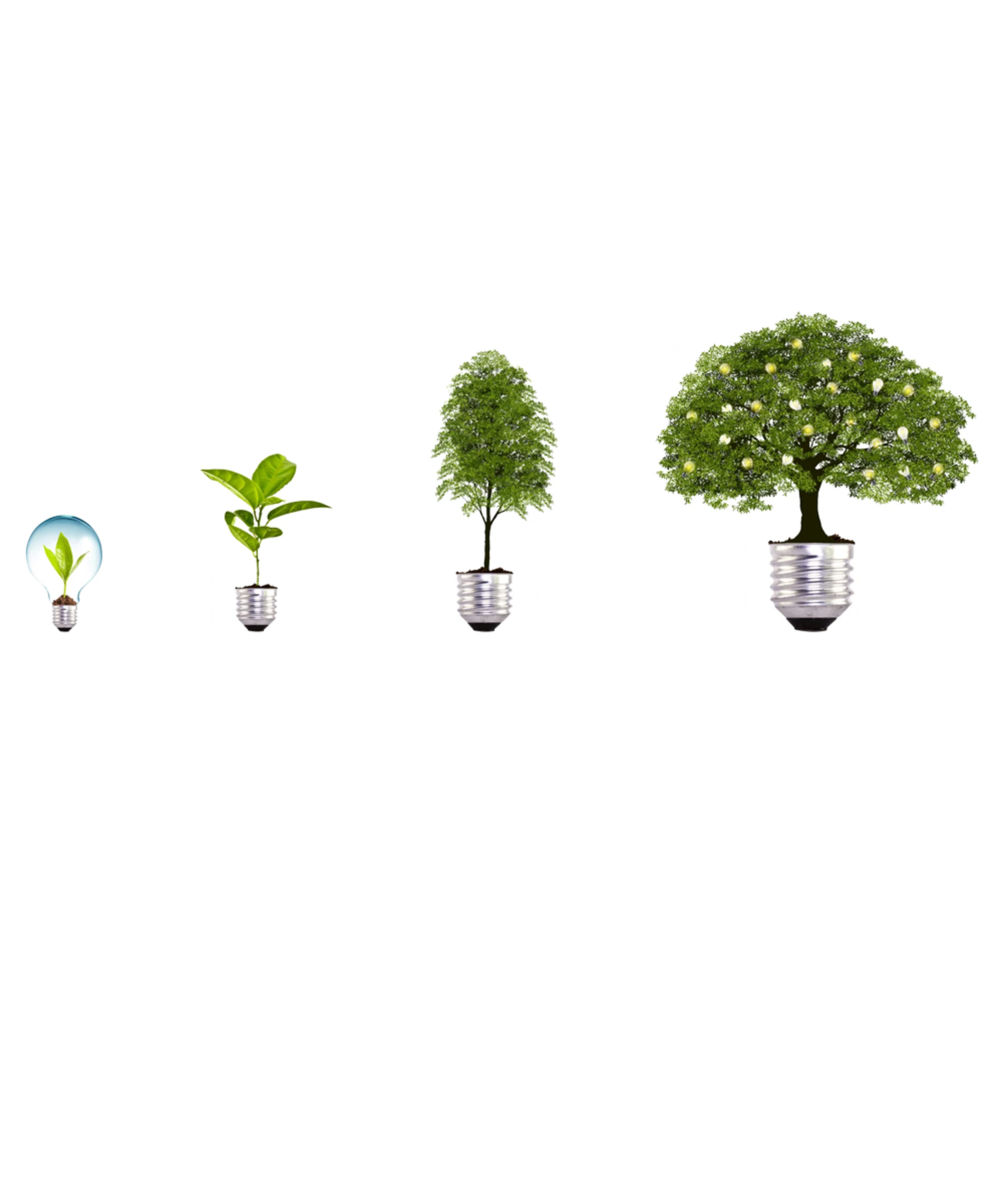 tree-growth.webp