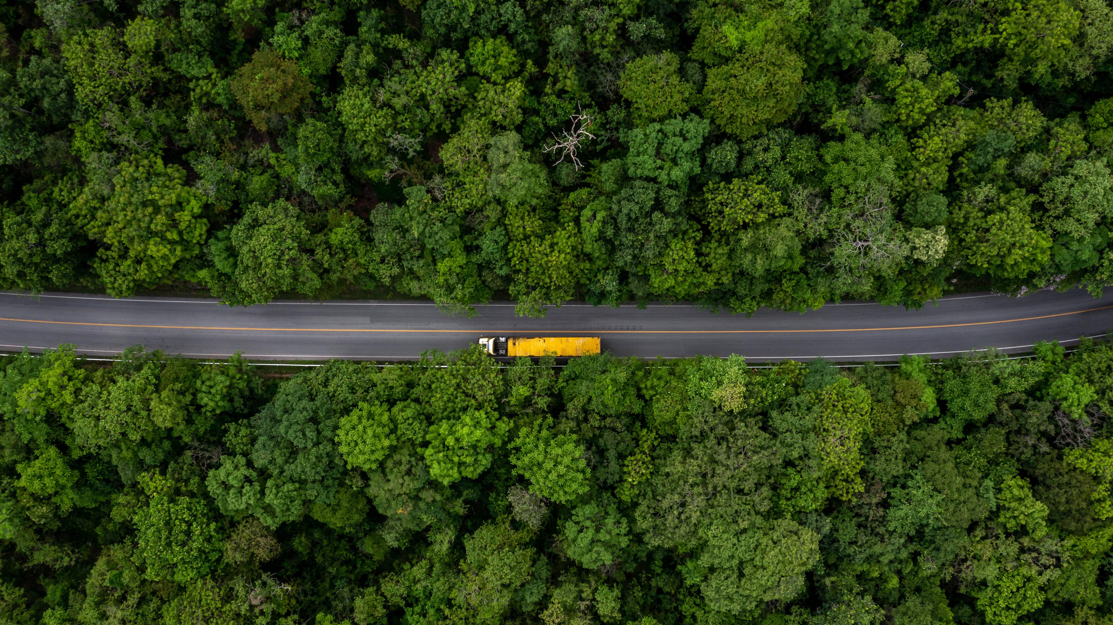 Truck.jpg