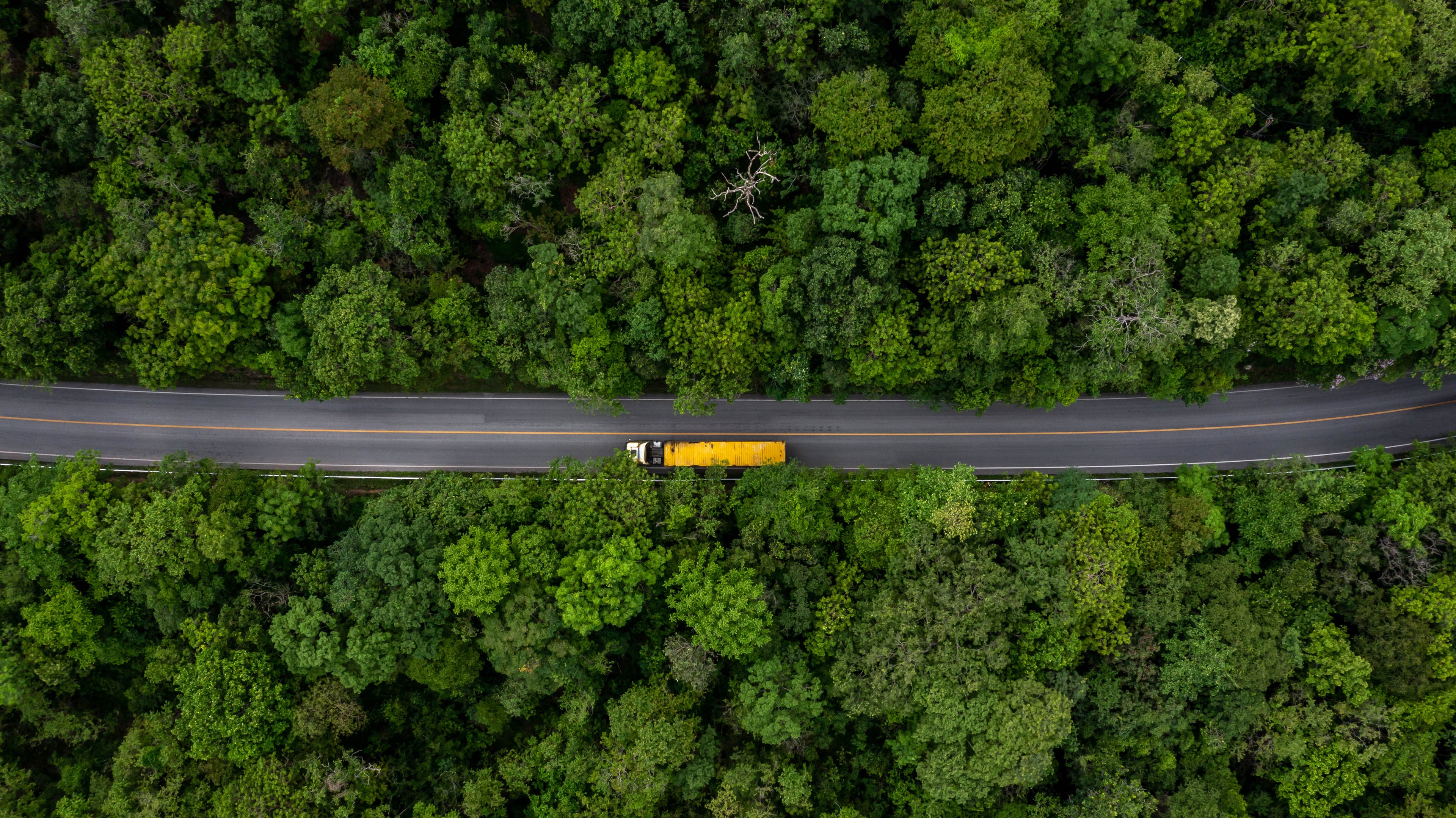 Forestry.jpg