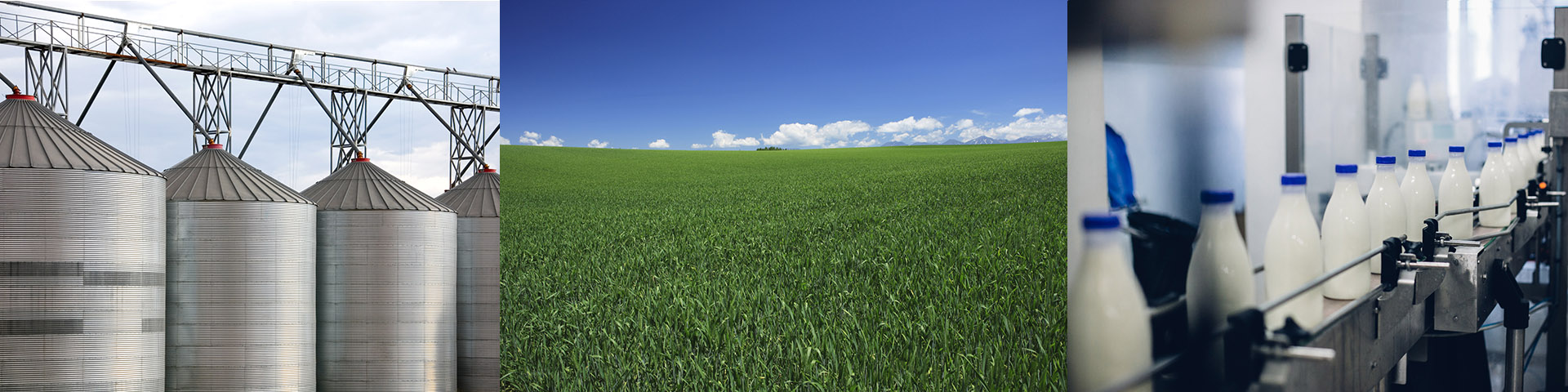 Agricultura