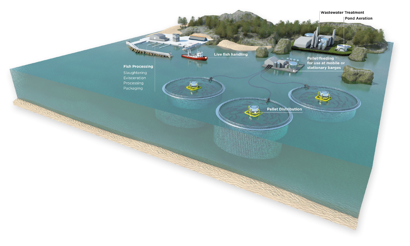Sea graph