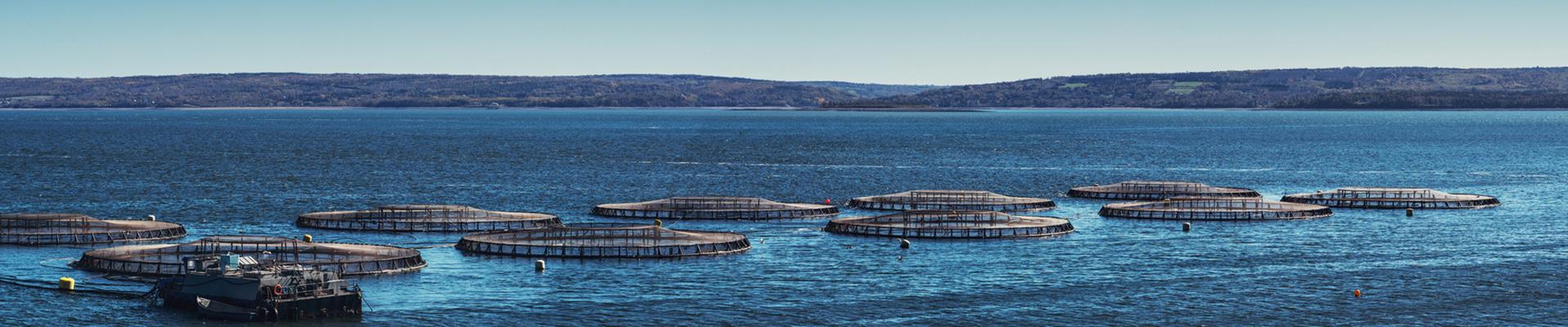Aquaculture banner