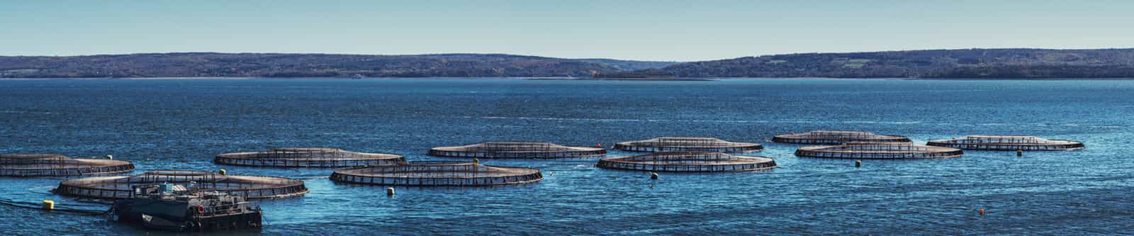 Aquaculture banner