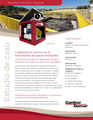 Estudio De Caso Gardner Denver