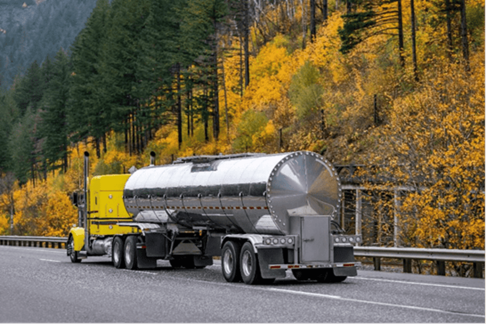 Ultimate Guide to Sanitary Pumps for Food‑Grade Transport 