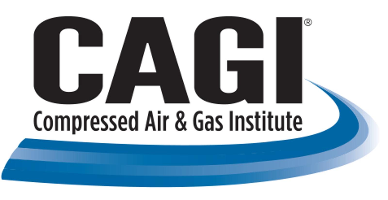 IRP-Service-Logo-CAGI-Blowers.png