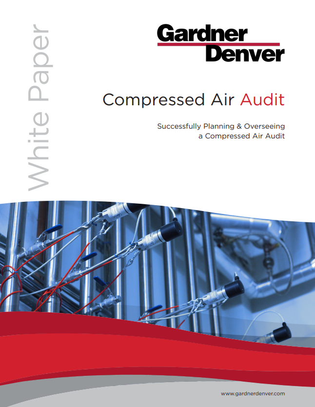 Compressed Air Audits
