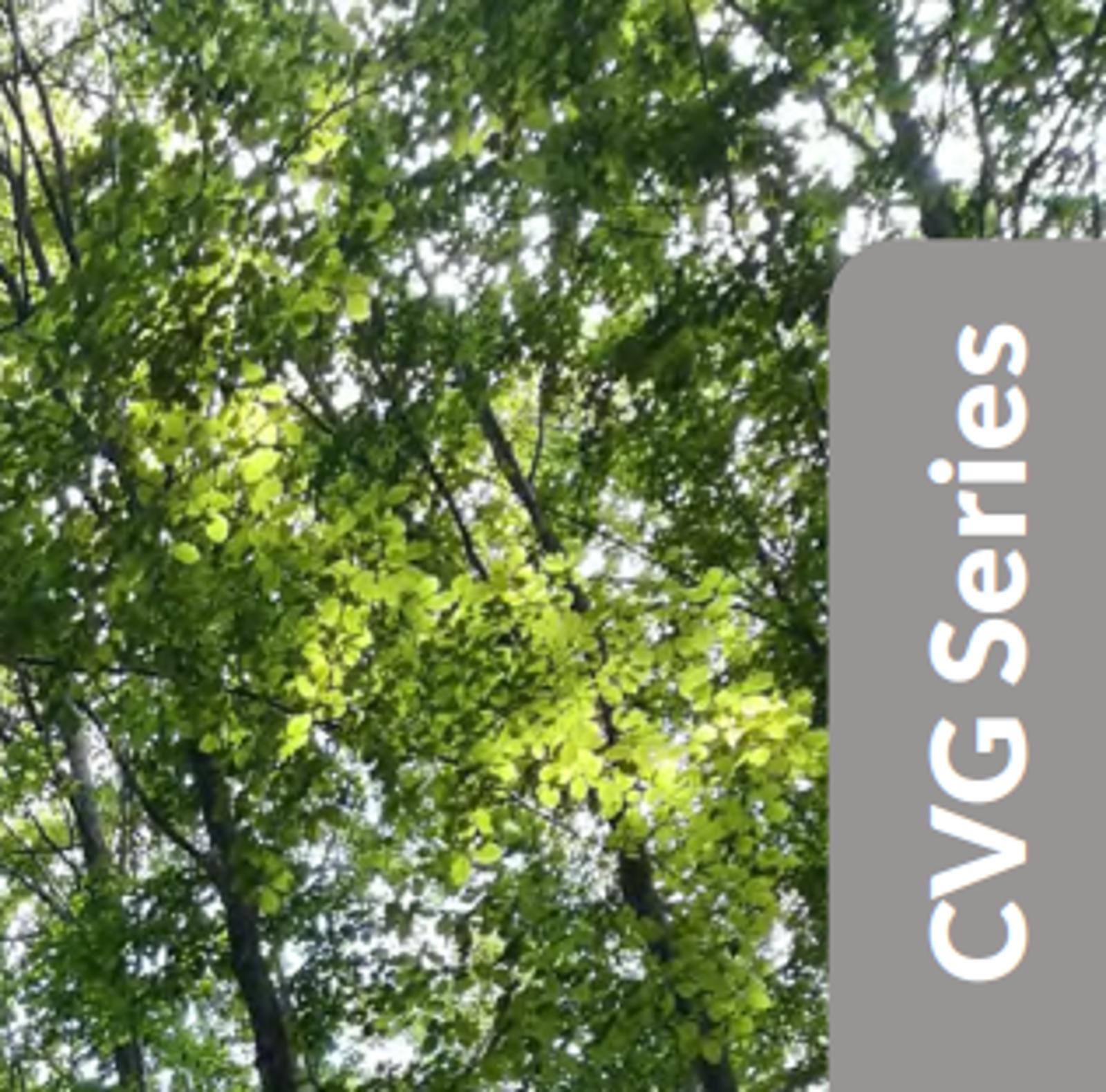 ADC-Application-Photo-BROCHURE-CVG.png