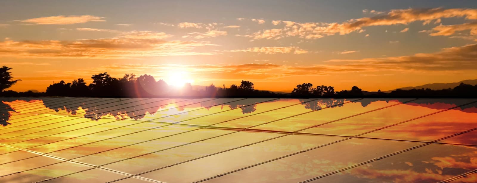 Renewable Energy and Self-Production
