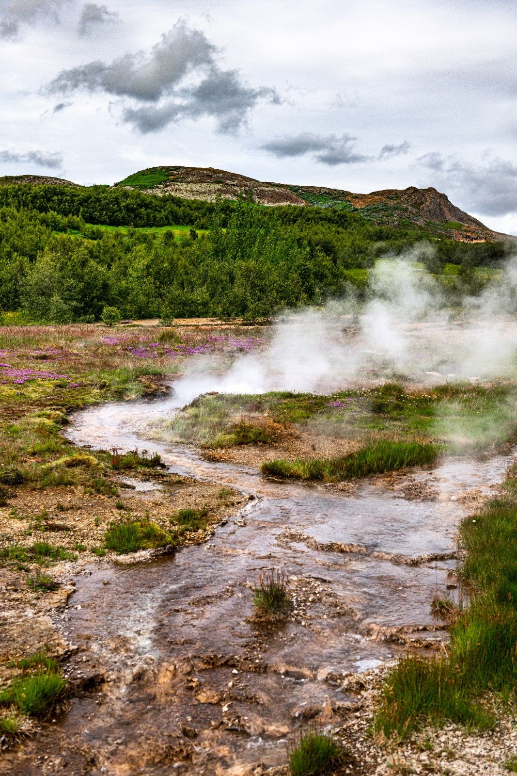 ADC-Product-Banner-ssg (2).jpg