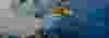 RDP-Product-Banner-paint.jpg