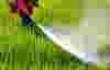 Fertilizers transfer image 