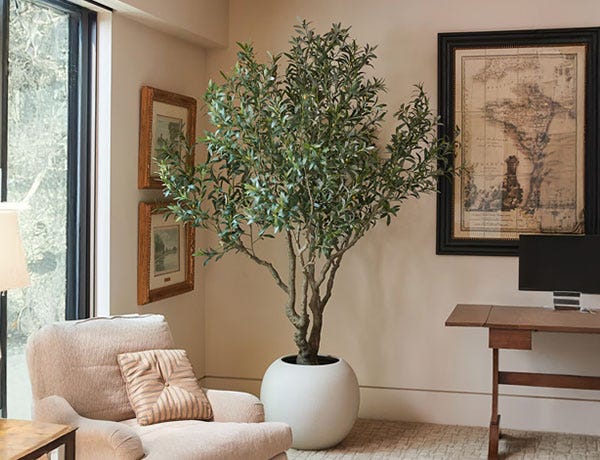 Artificial Plants