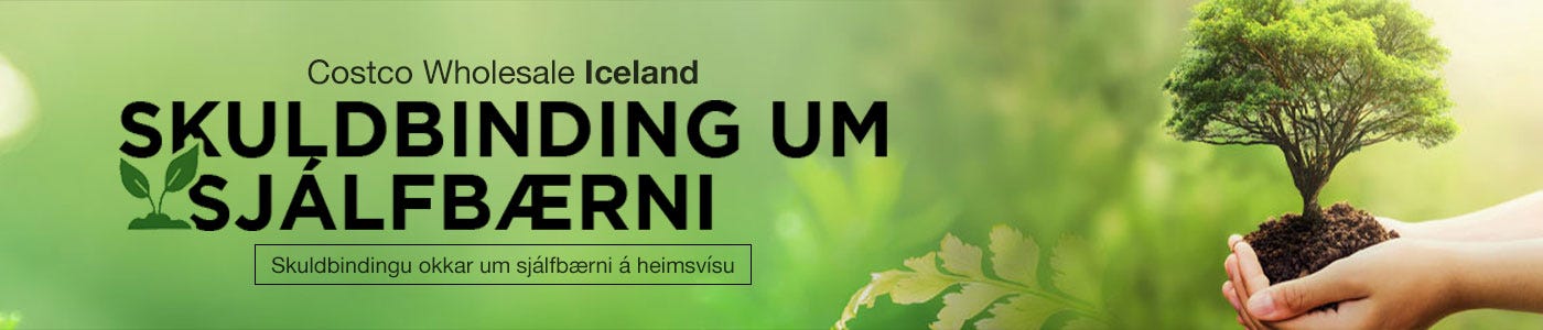 Costco Iceland Sustainability