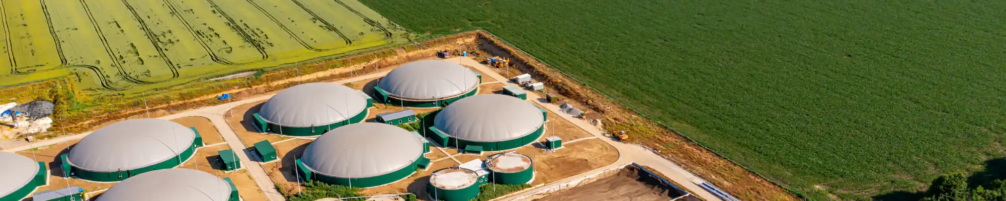 Renewable Natural Gas (RNG) Industry