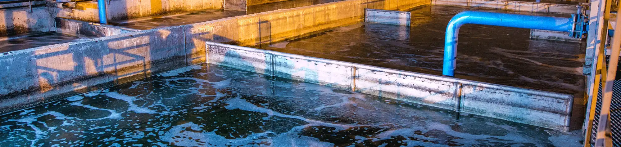 HOFFMAN & LAMSON Blowers