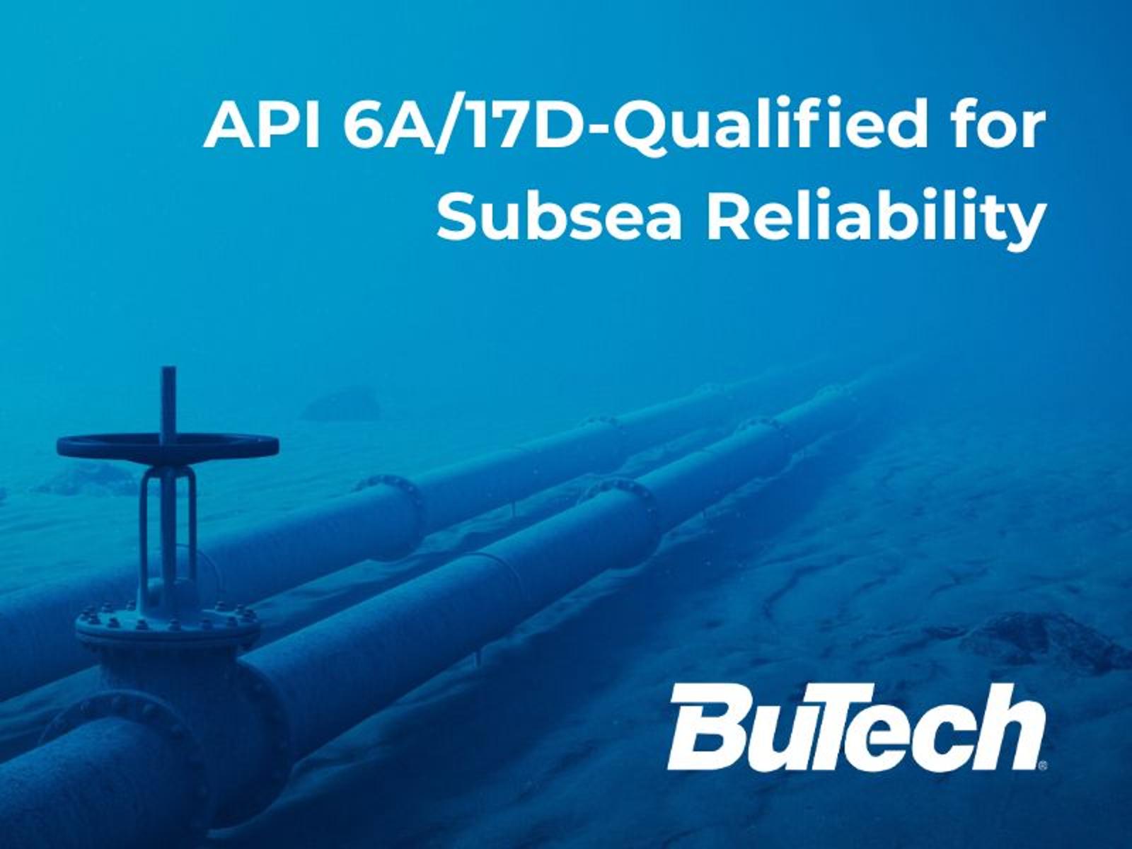 API 6A17D‑Qualified.jpg