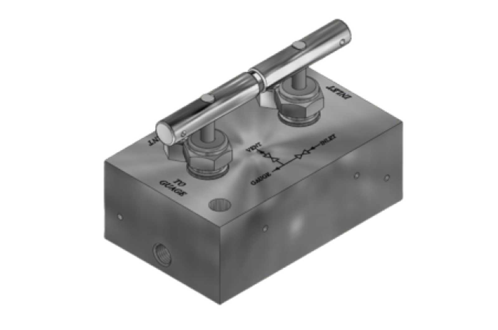 20S3 Manifold Block & Bleed Needle Valves