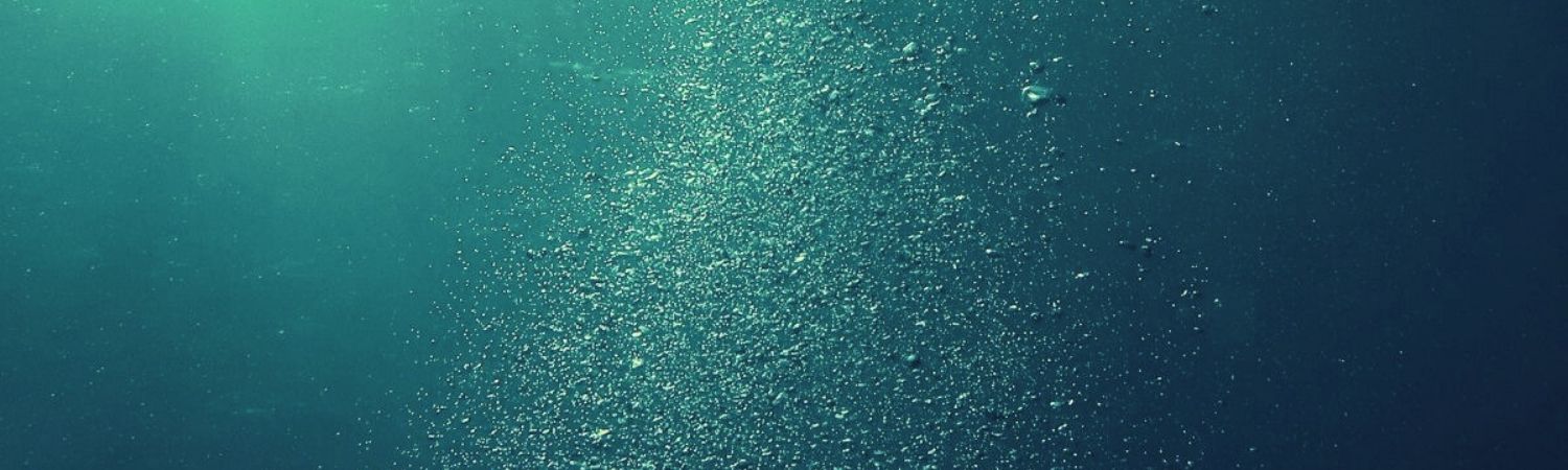 Subsea Header Image