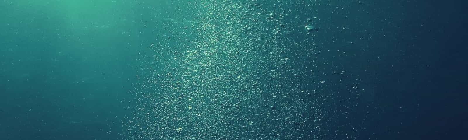 Subsea Header Image