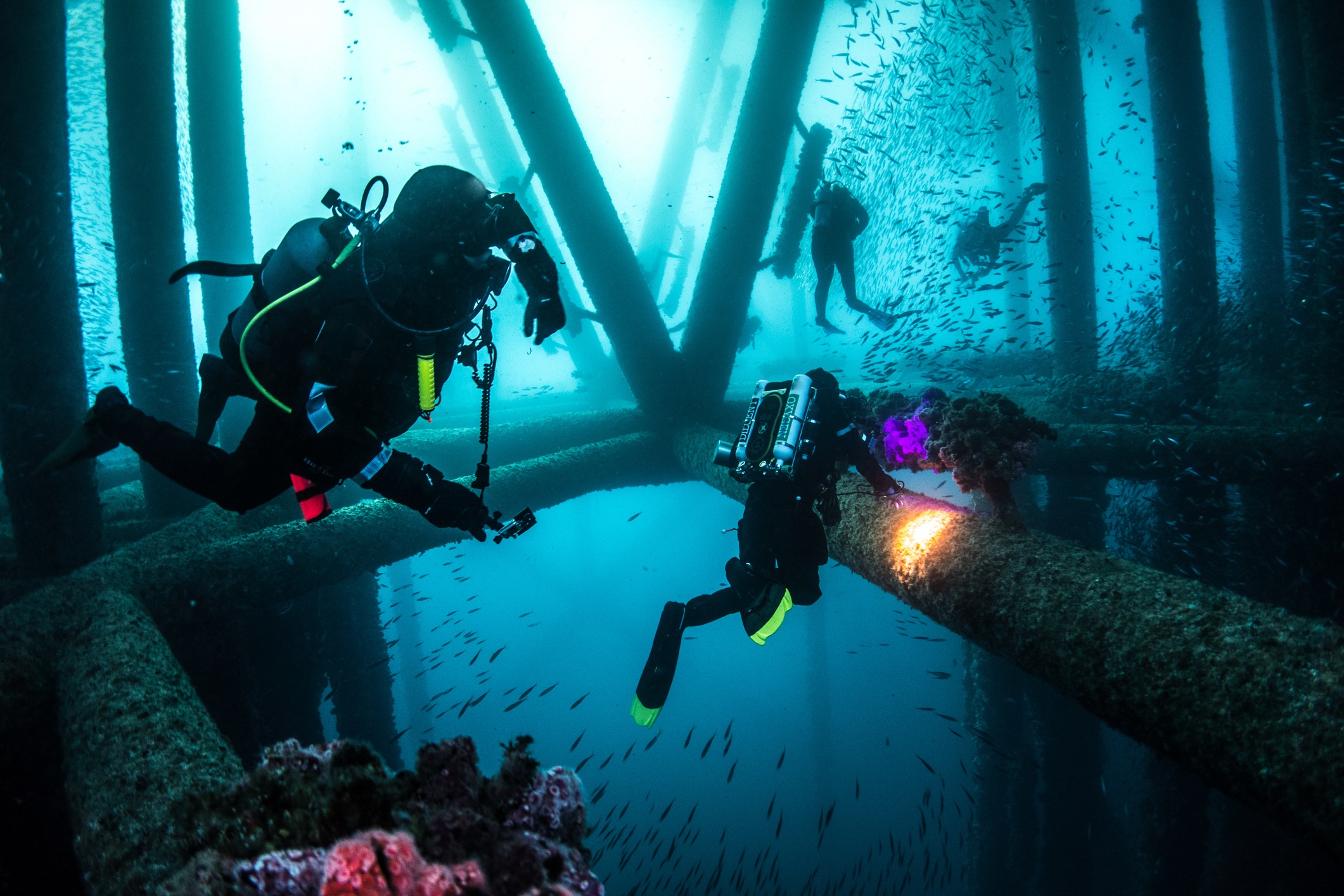 Diving
