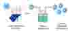 green hydrogen production