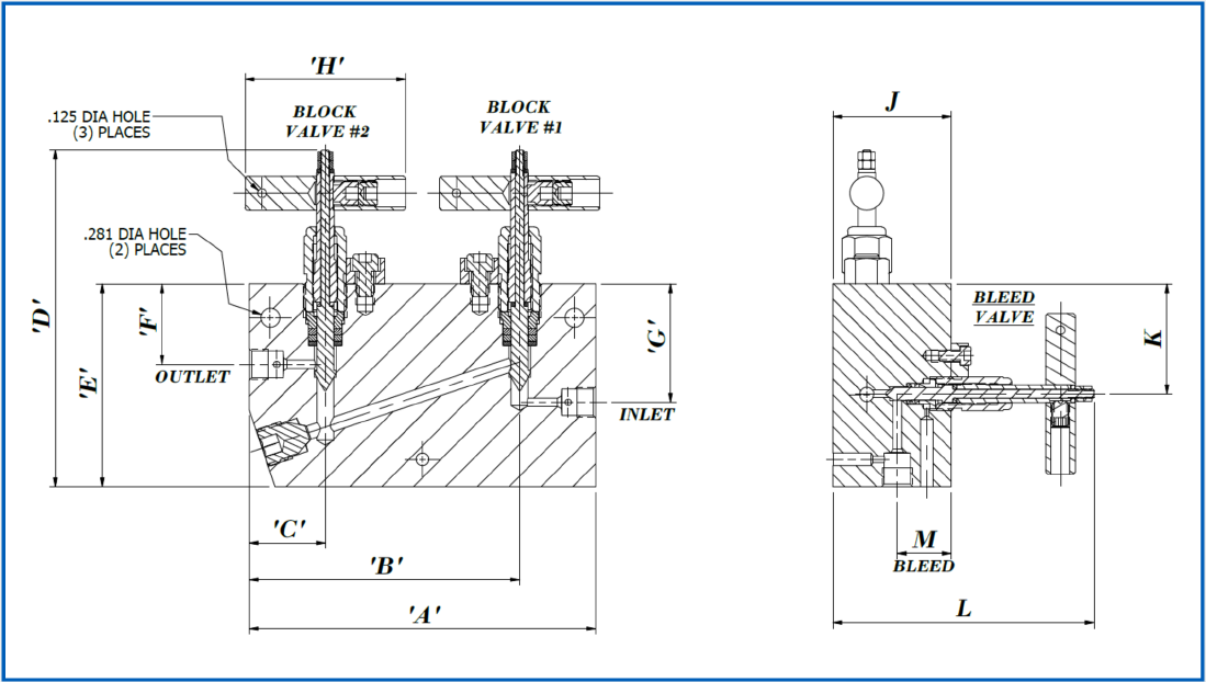 20S4 Manifold diagram