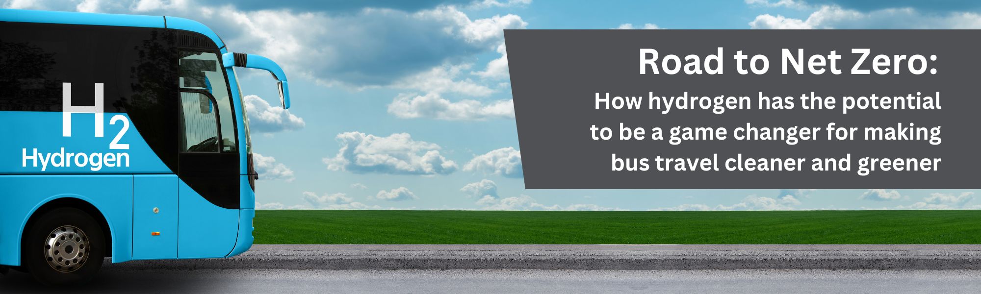 bus-white-paper-landing-page-header.jpg