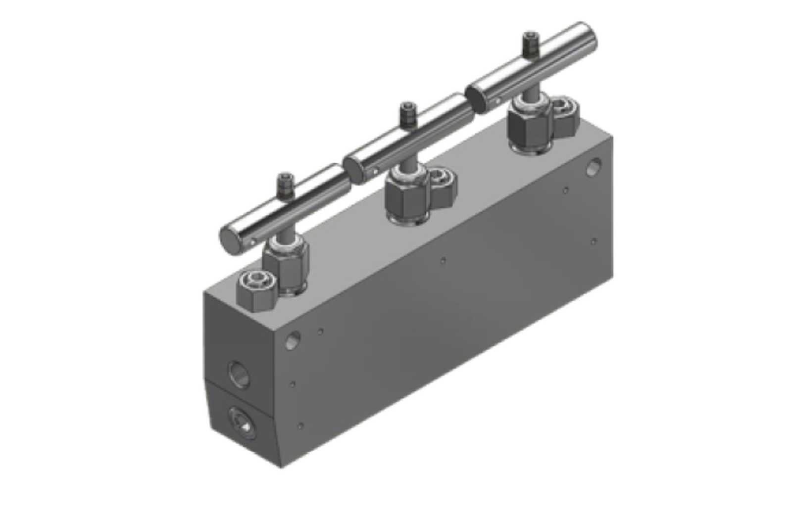 Manifold 20S1 DOUBLE BLOCK & BLEED (DBB)