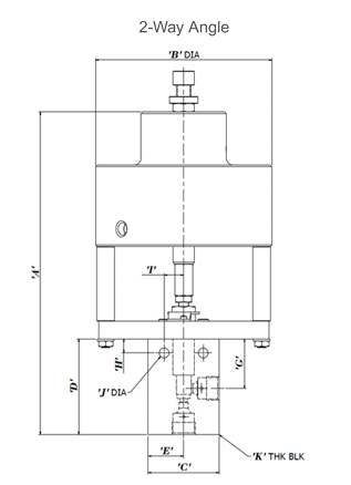 2-Way Angle Soft Seat Needle Valve