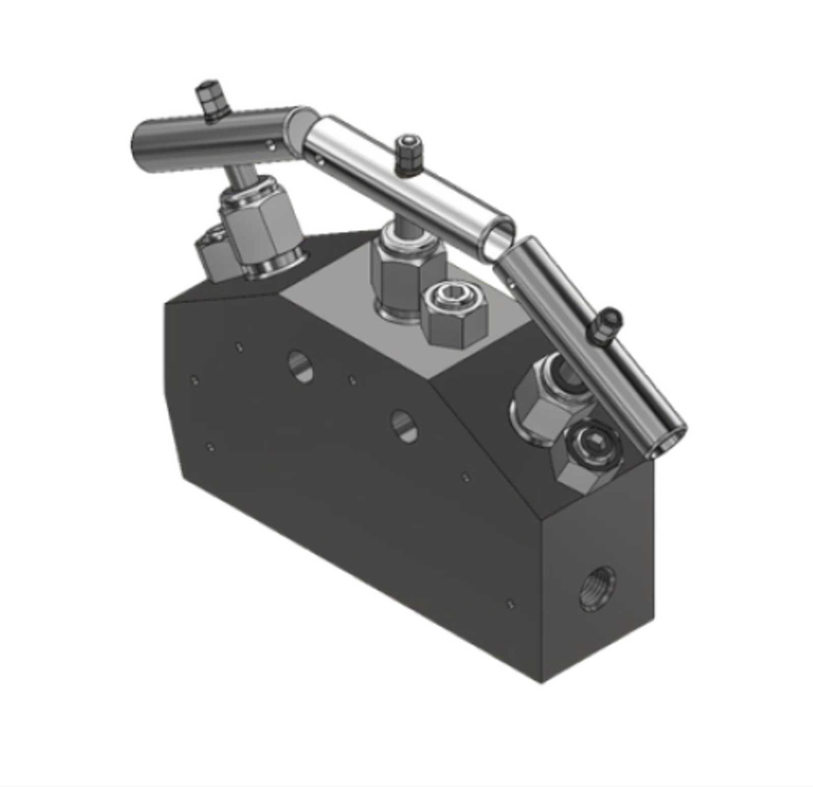 Manifold 20S2 DOUBLE BLOCK & BLEED (DBB)