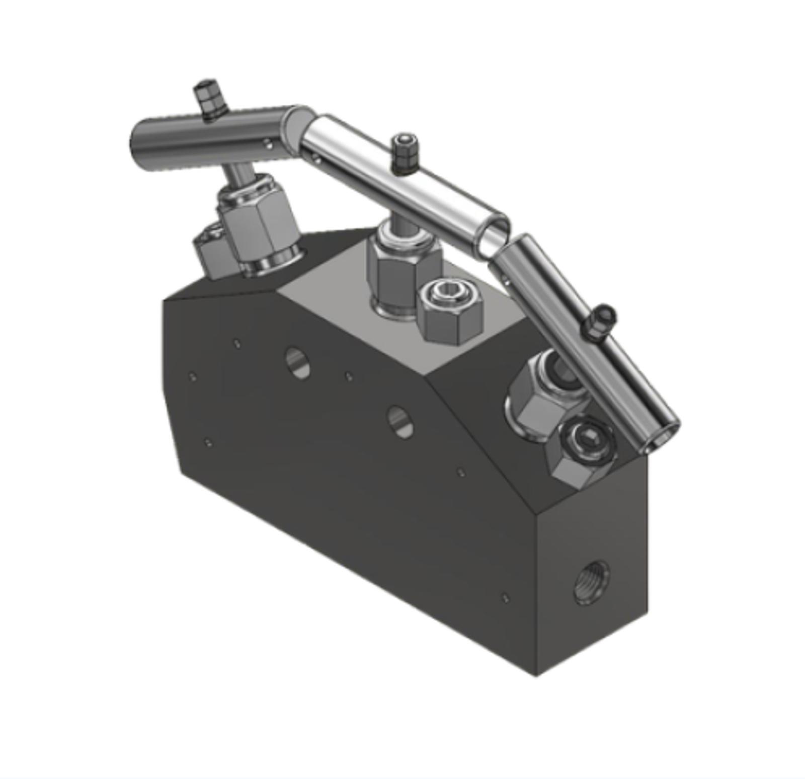 Manifold 20S2 DOUBLE BLOCK & BLEED (DBB)