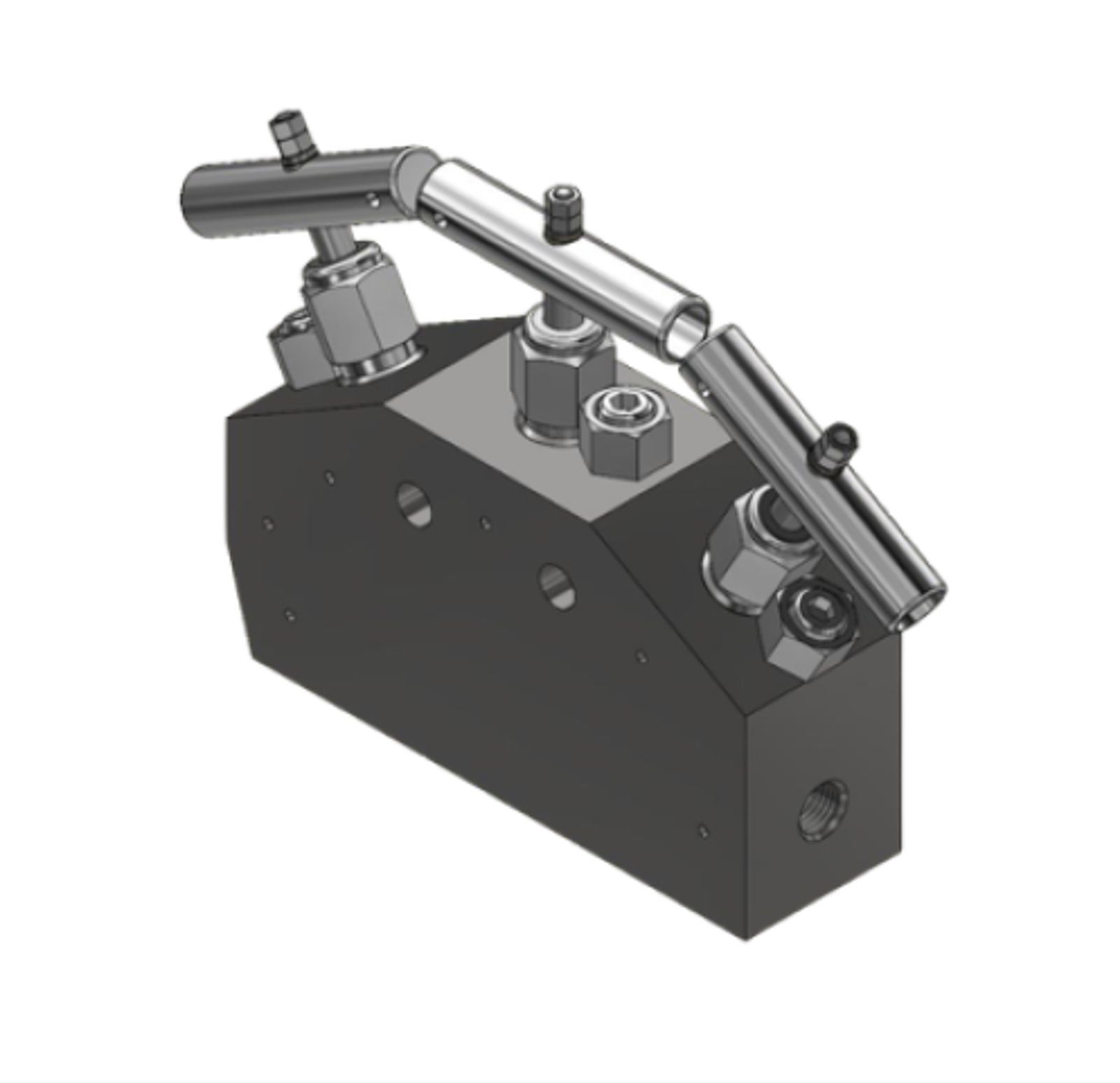 Manifold 20S2 DOUBLE BLOCK & BLEED (DBB)