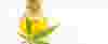 cannabis-oil-extraction_crop.jpg